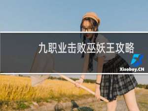 九职业击败巫妖王攻略