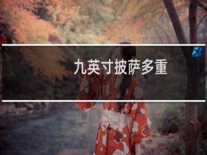 九英寸披萨多重（九英寸披萨多大）