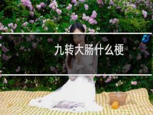 九转大肠什么梗