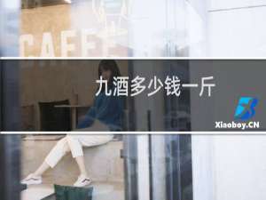 九酒多少钱一斤