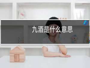 九酒是什么意思