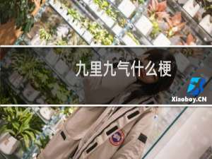 九里九气什么梗