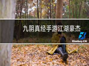 九阴真经手游江湖豪杰玩法