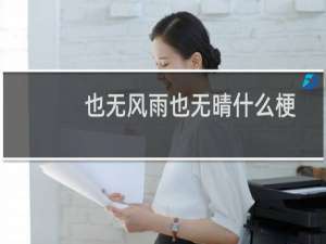 也无风雨也无晴什么梗