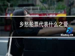 乡愁船票代表什么之爱