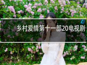 乡村爱情第十一部 电视剧
