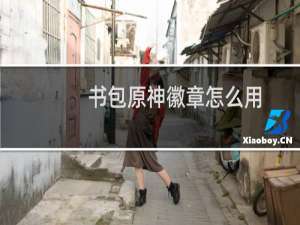 书包原神徽章怎么用