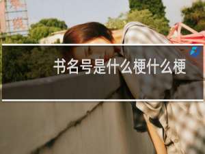 书名号是什么梗什么梗