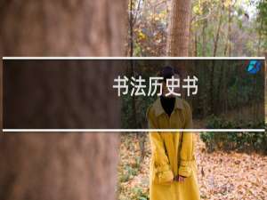 书法历史书