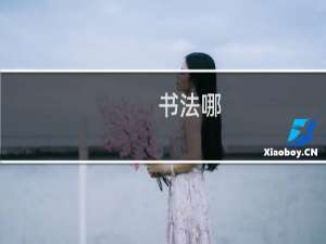 书法哪