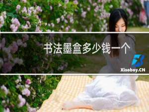 书法墨盒多少钱一个