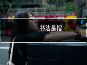 书法是指