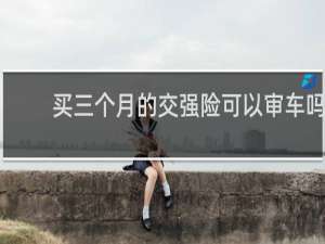 买三个月的交强险可以审车吗