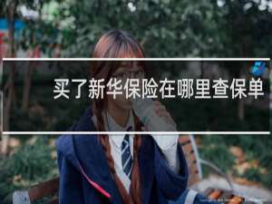买了新华保险在哪里查保单