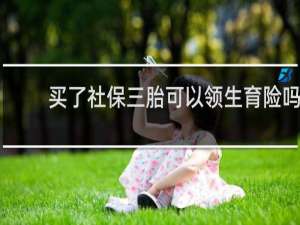买了社保三胎可以领生育险吗