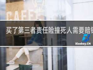 买了第三者责任险撞死人需要赔钱吗