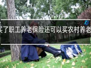 买了职工养老保险还可以买农村养老保险吗