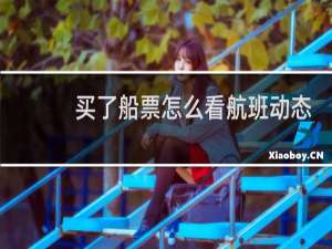 买了船票怎么看航班动态