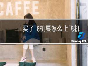 买了飞机票怎么上飞机