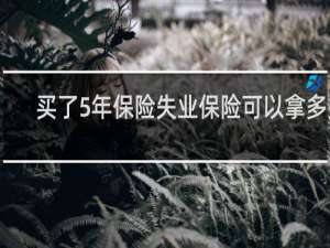 买了5年保险失业保险可以拿多少