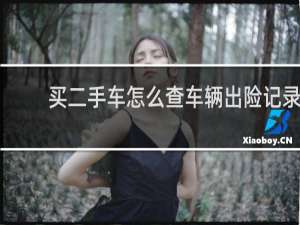 买二手车怎么查车辆出险记录