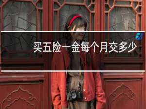 买五险一金每个月交多少