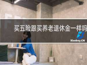 买五险跟买养老退休金一样吗