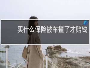 买什么保险被车撞了才赔钱