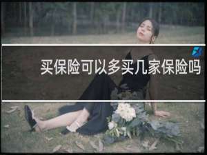 买保险可以多买几家保险吗