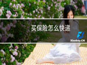 买保险怎么快递