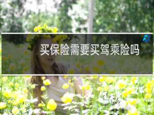 买保险需要买驾乘险吗