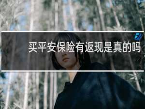 买平安保险有返现是真的吗