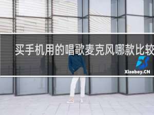 买手机用的唱歌麦克风哪款比较好