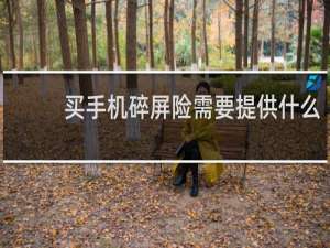 买手机碎屏险需要提供什么