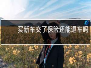 买新车交了保险还能退车吗