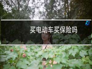 买电动车买保险吗