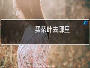 买茶叶去哪里