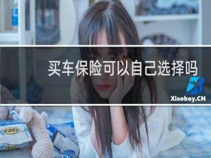 买车保险可以自己选择吗