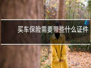 买车保险需要带些什么证件