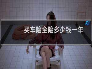买车险全险多少钱一年