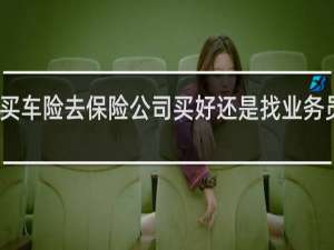 买车险去保险公司买好还是找业务员买好