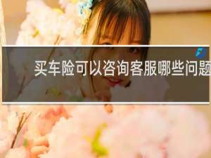 买车险可以咨询客服哪些问题