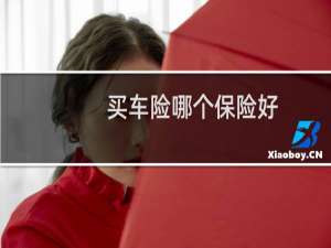 买车险哪个保险好