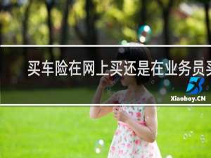 买车险在网上买还是在业务员买