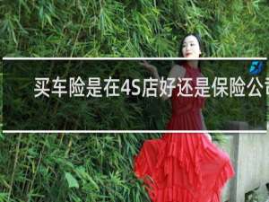 买车险是在4S店好还是保险公司