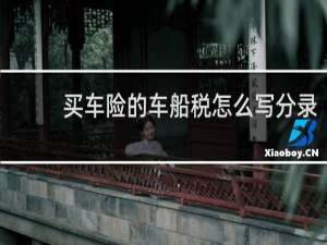 买车险的车船税怎么写分录
