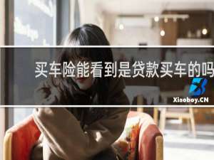 买车险能看到是贷款买车的吗