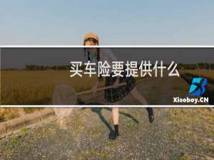 买车险要提供什么