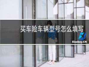 买车险车辆型号怎么填写