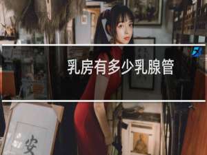 乳房有多少乳腺管